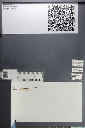 Media type: image;   Entomology 556204